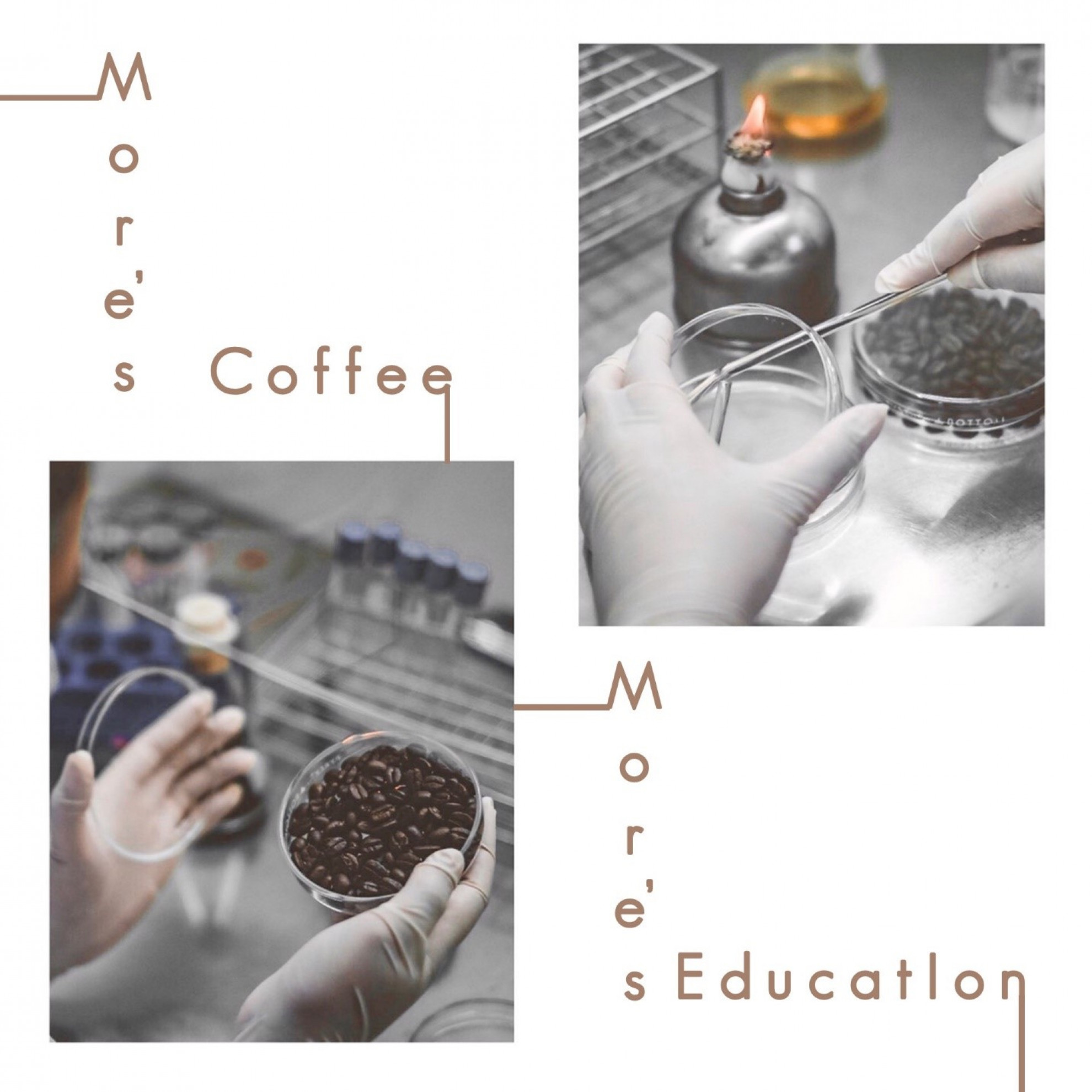 More’s coffee produced by the combination of traditional and science knowledge.